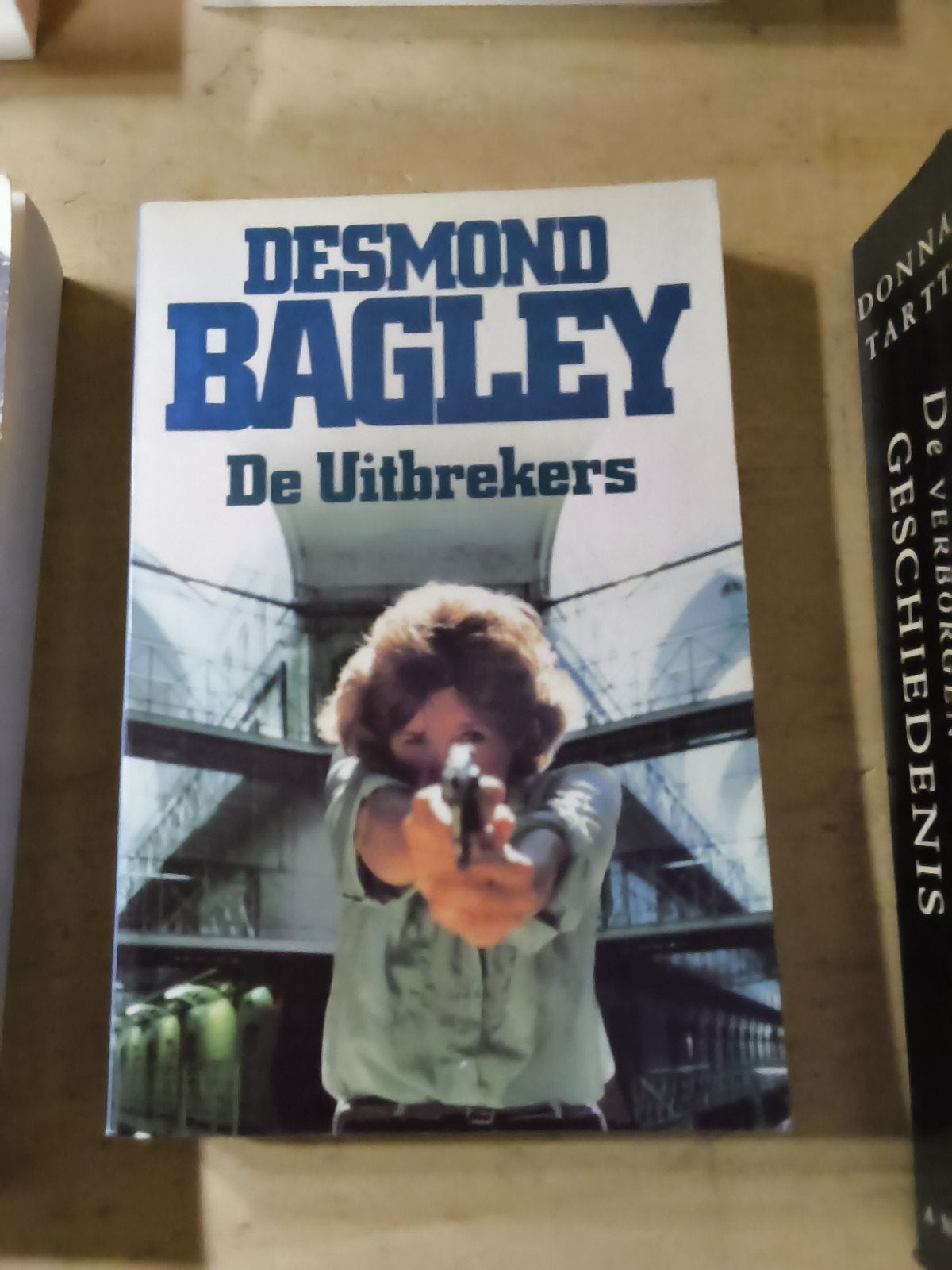 Diverse boeken: romans en klassiekers, Ophalen of Verzenden, Gelezen