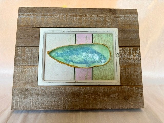 Lijst met schelp, Overige typen, 24 cm, Nieuw, Ophalen of Verzenden