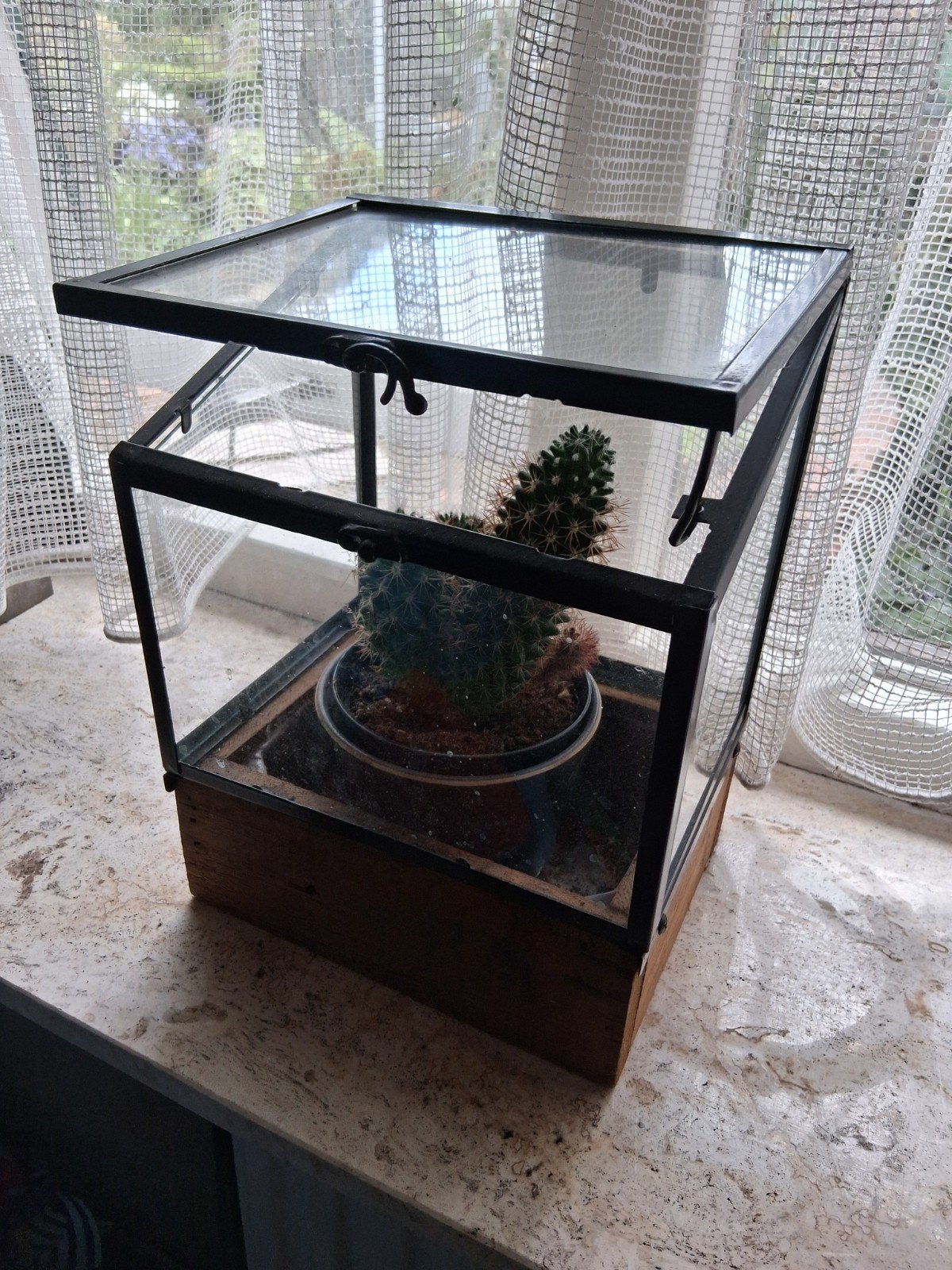 Minikasje hout glas, Tuin en Terras, Ophalen