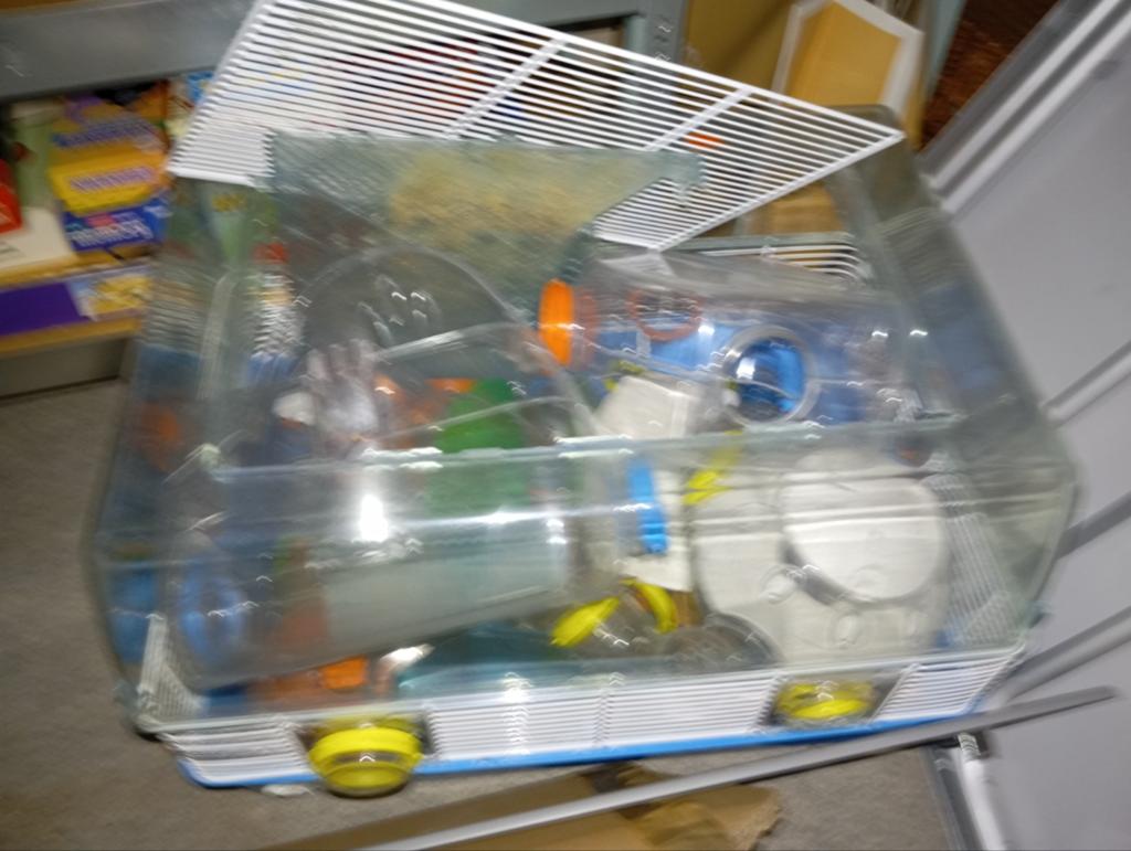 Hamsterkooi met heel veel buizen, Dieren en Toebehoren, Ophalen, Minder dan 75 cm, Kooi, Minder dan 60 cm