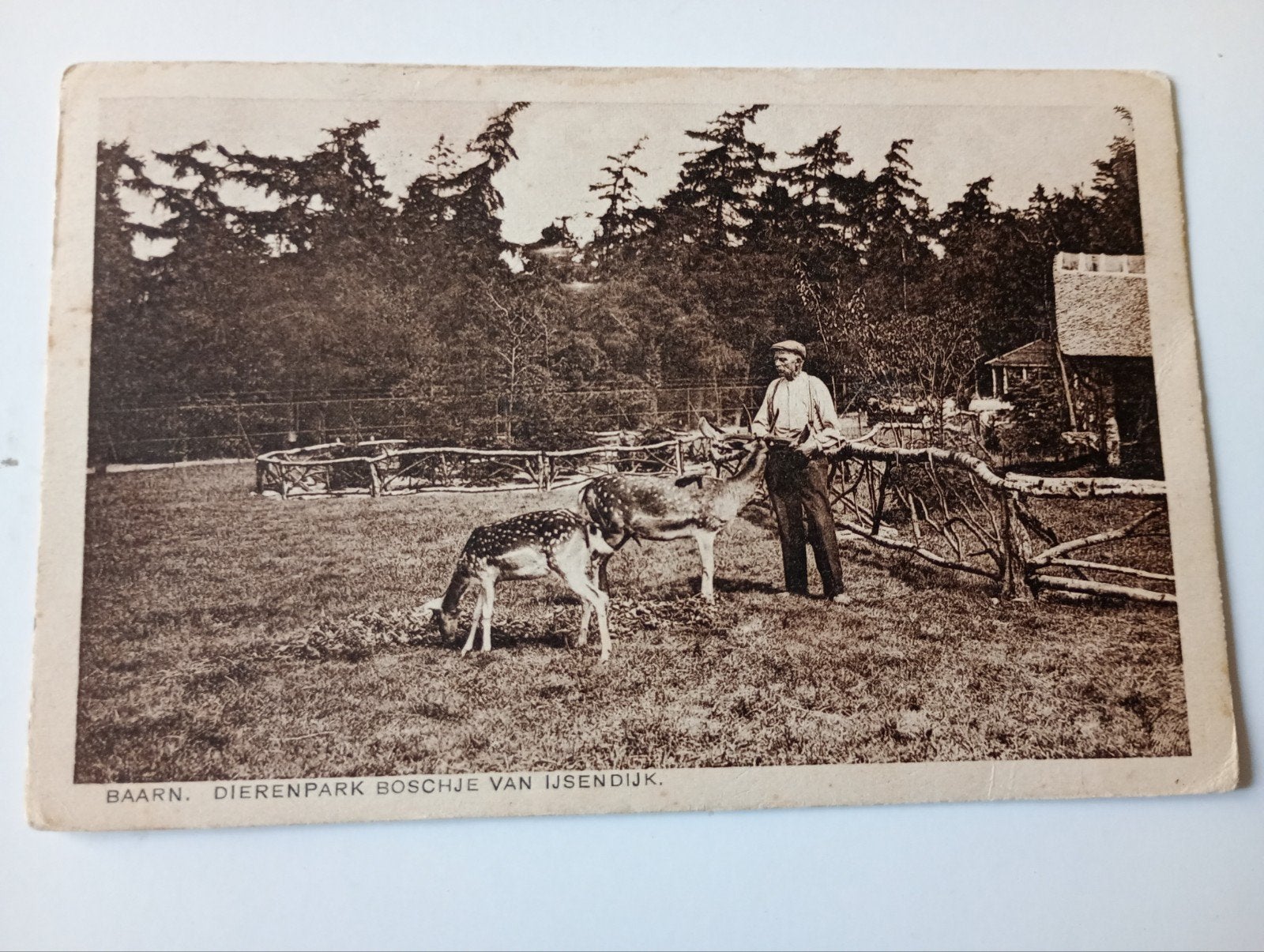 Baarn Dierentuin Boschje van IJsendijk 1929, Ophalen of Verzenden, 1920 tot 1940, Gelopen, Utrecht