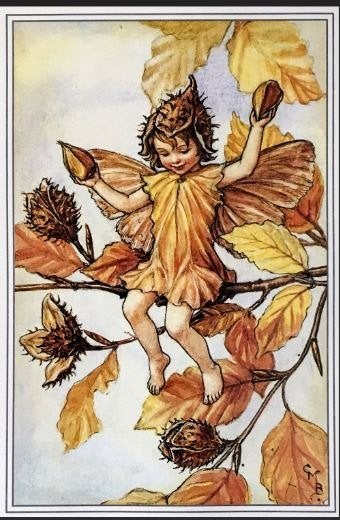 borduur patroon en FAIRY IES BLOEMENKINDEREN LANARTE Bloesem, Hobby en Vrije tijd, Ophalen of Verzenden, Nieuw, Handborduren, Patroon
