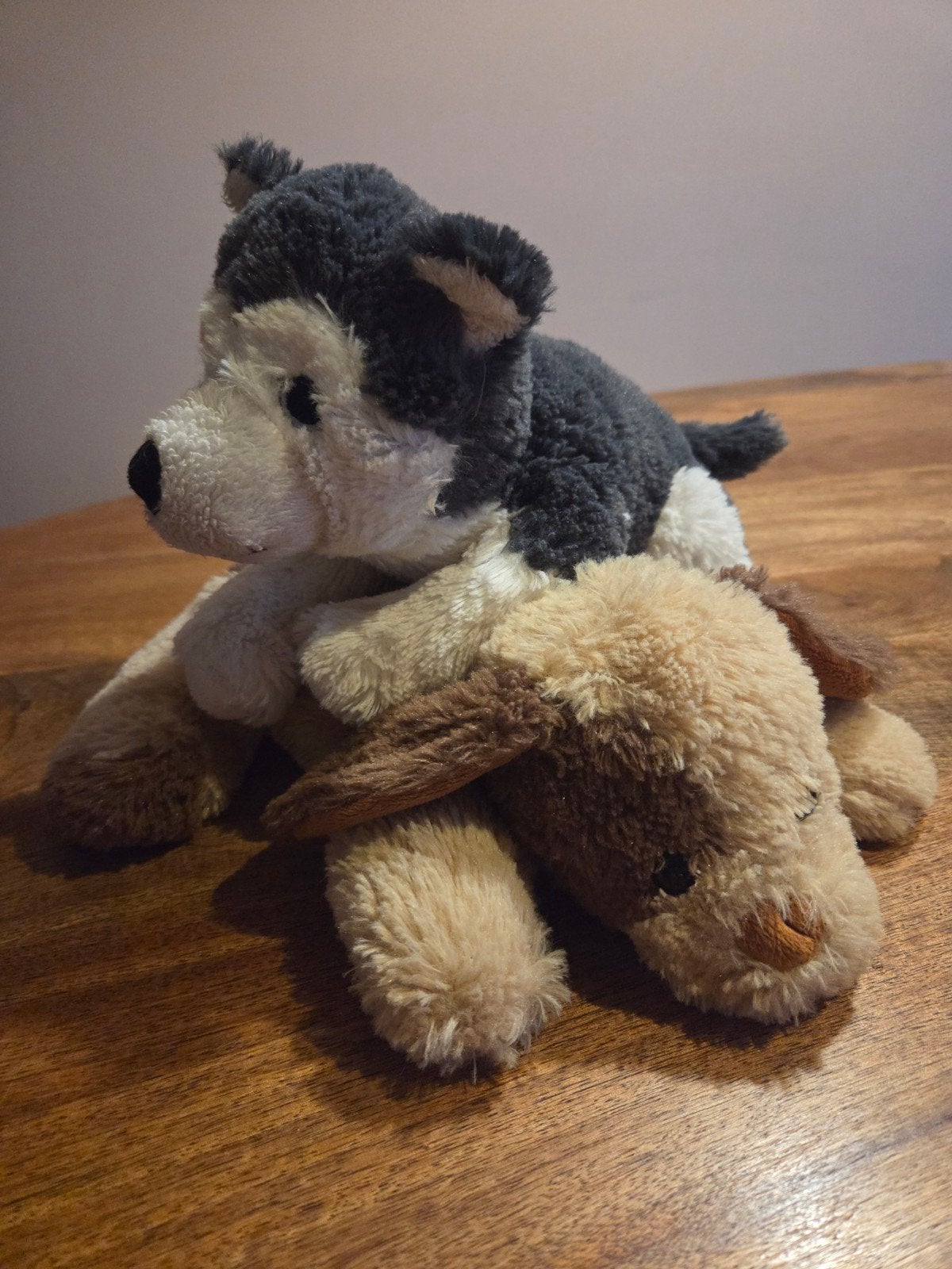 honden knuffeltjes, Verzamelen, Ophalen of Verzenden, Zo goed als nieuw, Stoffen beer, Overige merken
