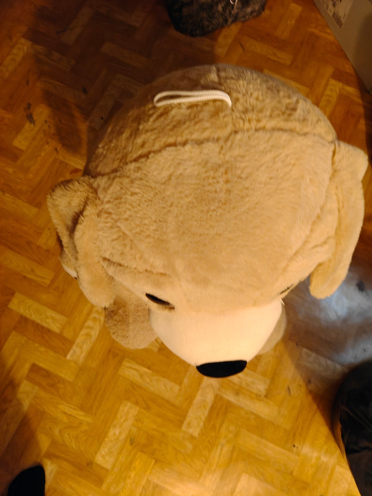 Grote knuffel hond, Ophalen, Gebruikt, Hond, Middelgroot (20 tot 80 cm)