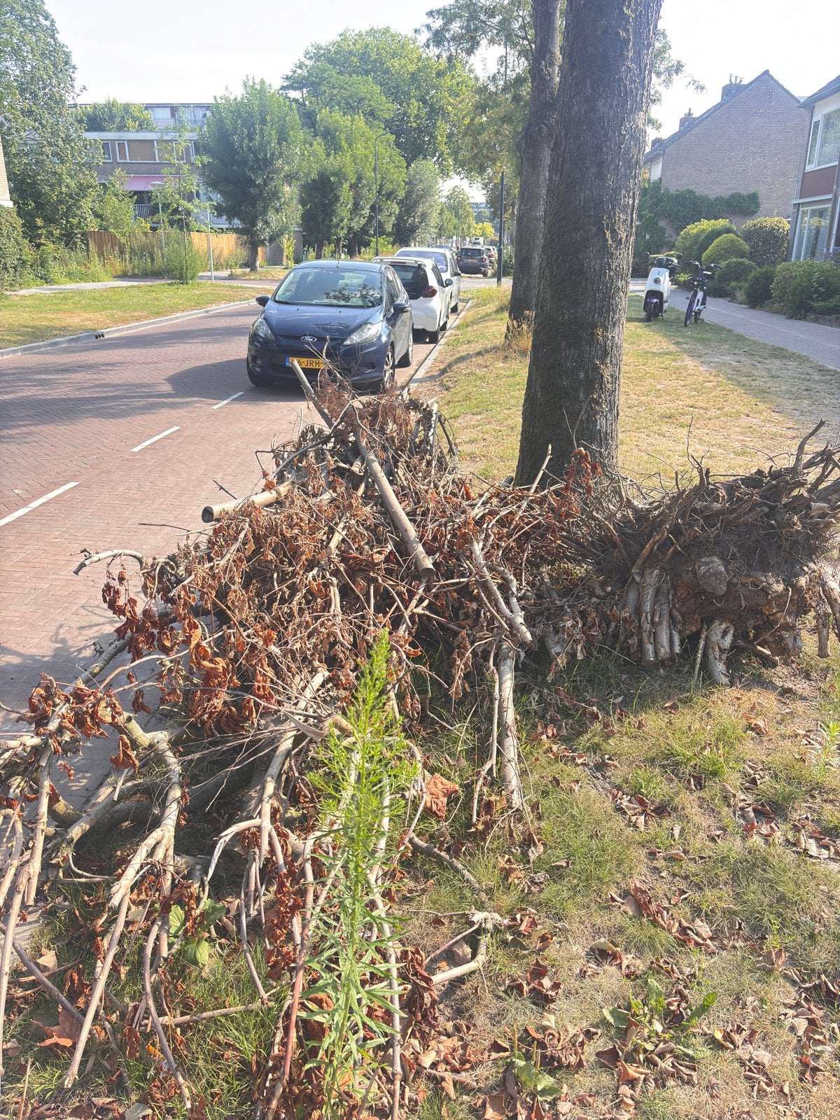 Houtafval en takken voor gratis afhalen, Ophalen, Gebruikt, Overige typen