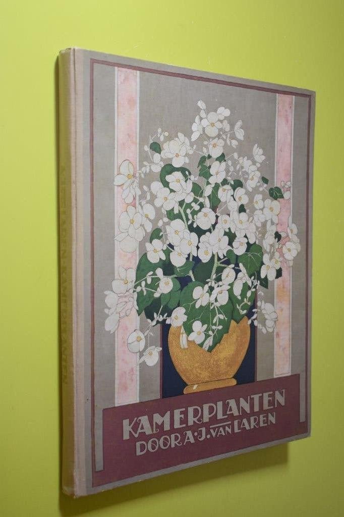Plaatjesalbum Kamerplanten 1928- Compleet- géén herdruk, Ophalen of Verzenden, Gelezen, J.J. Koeman, Plaatjesalbum