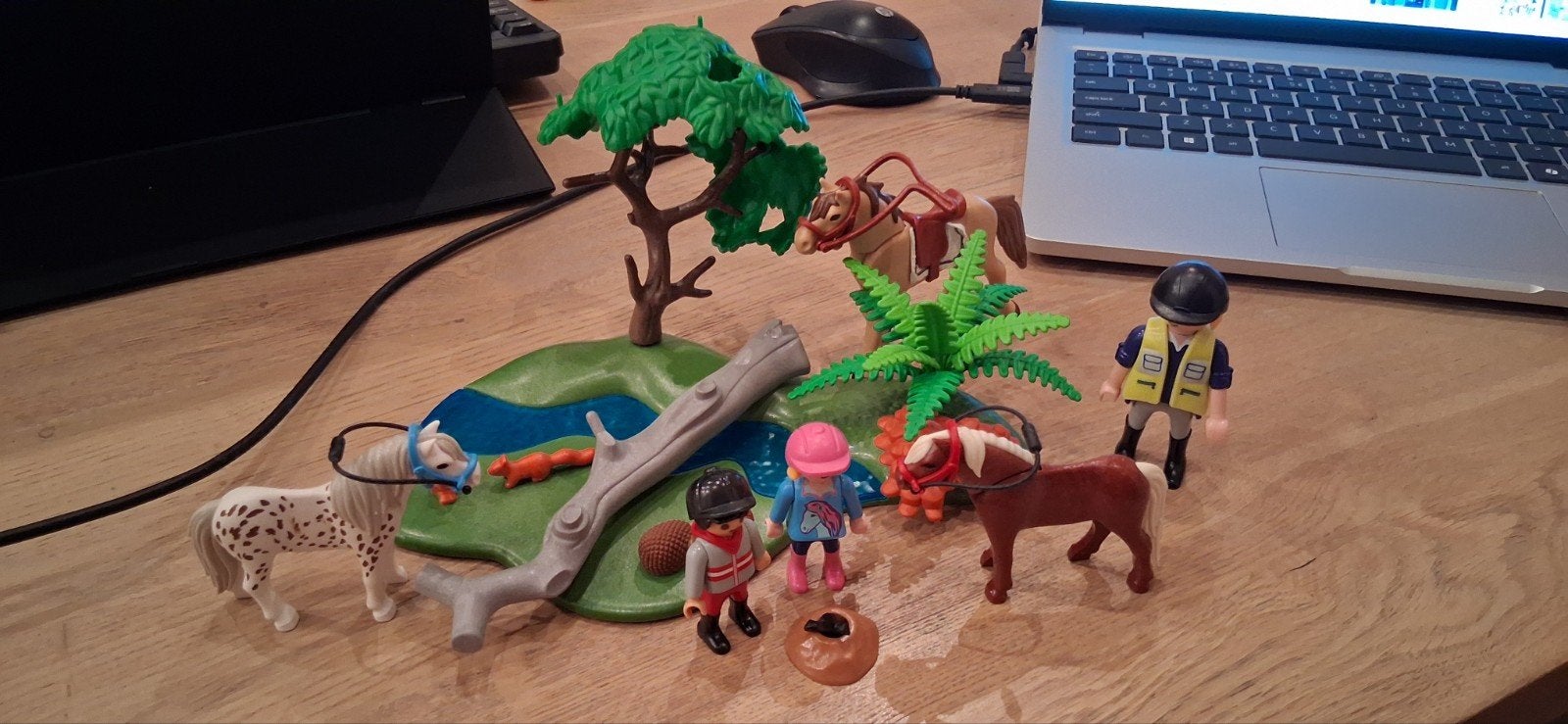 Playmobil 5686 Paardrijles Set - Compleet en Gebruikt, Gebruikt, Complete set, Overige typen, Ophalen of Verzenden