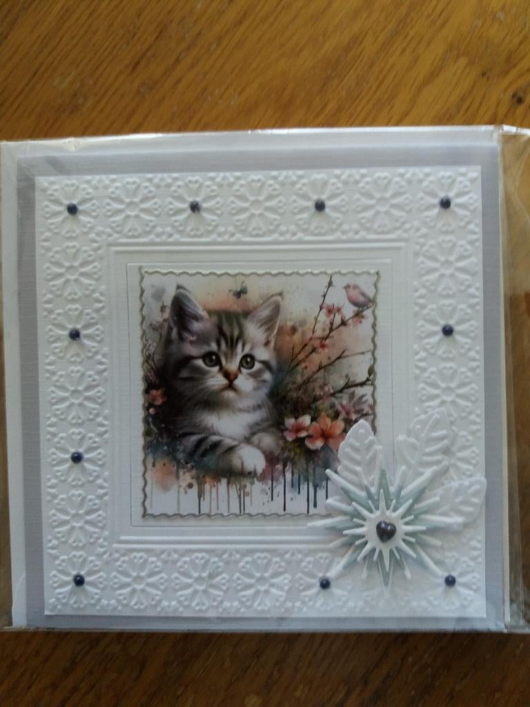Blanko kaartje met poesje no. 2386, Ophalen of Verzenden, Nieuw, Dieren