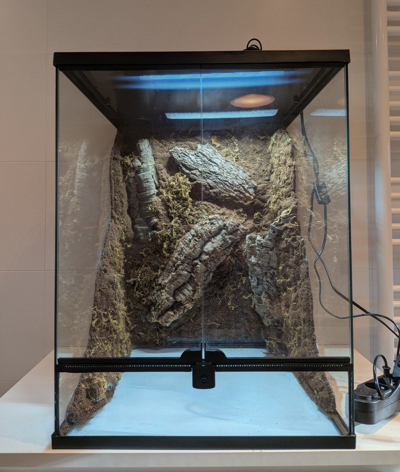 terrarium met custom made achterwand., Dieren en Toebehoren, Reptielen en Amfibieën | Toebehoren, Ophalen