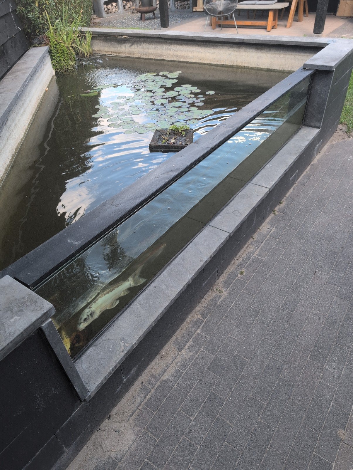Vijverraam 250x43cm - Helder zicht op uw vijver, Tuin en Terras, Vijvers, Ophalen