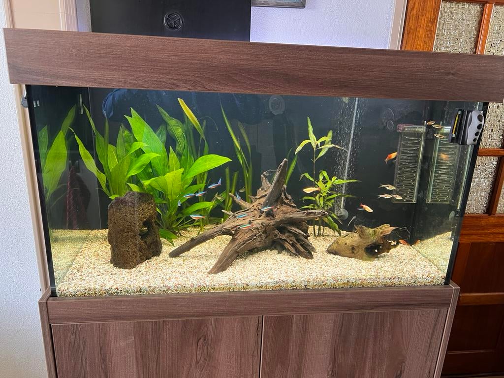 Bruine kast 250 ltr bak 1 mtr lang, Ophalen, Zo goed als nieuw, Leeg aquarium