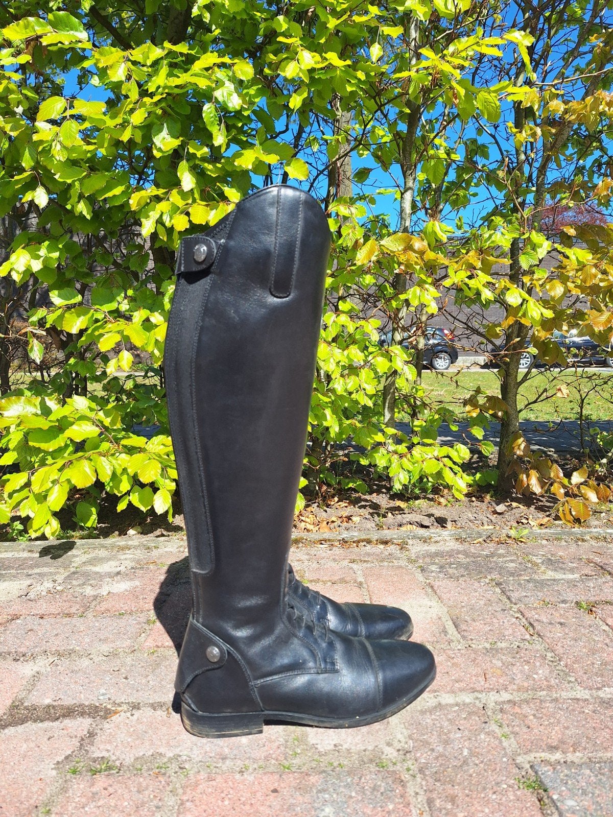 Paardrijlaarzen, Dieren en Toebehoren, Ophalen of Verzenden, Nieuw, Dames, Schoeisel