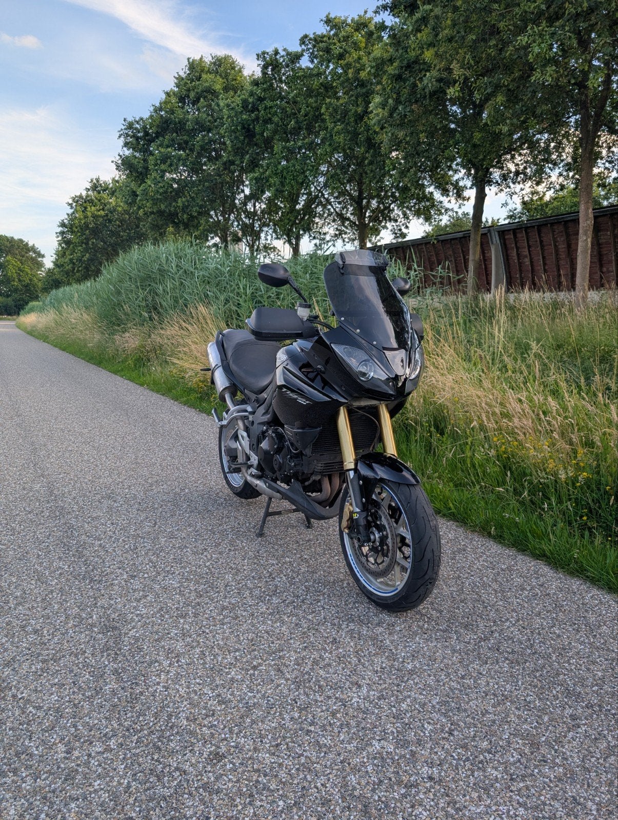 Triumph Tiger 1050 2007, Motoren, Motoren | Triumph, Handvatverwarming, Motorrijbewijs A, Gebruikt, 3 cilinders