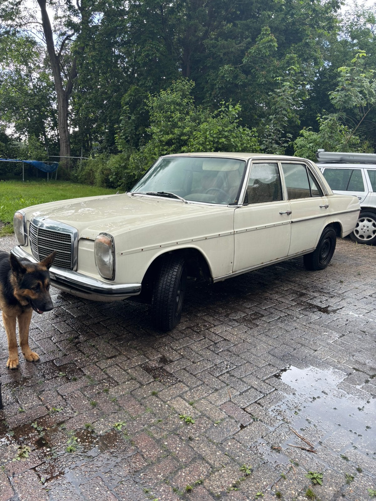 Mercedes 230.6 project of voor onderdelen, Auto's, Automaat, Achterwielaandrijving, Beige, Mercedes-Benz