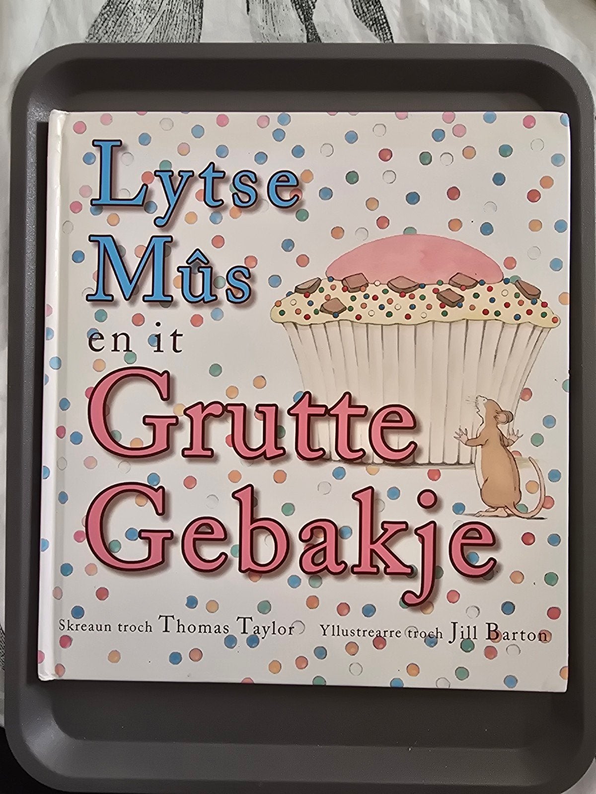 Th. Taylor - Lytse mûs en it grutte gebakje, Boeken, Ophalen of Verzenden, Gelezen, Th. Taylor