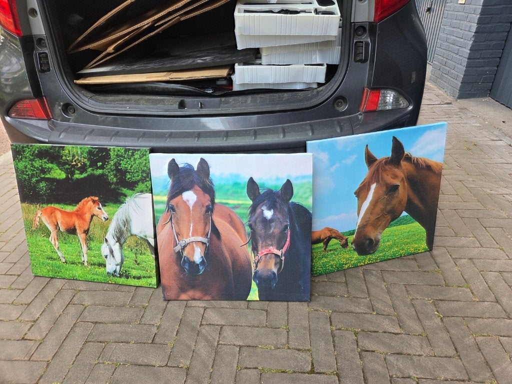 mooie paarden posters op linnen, Ophalen of Verzenden, Zo goed als nieuw, Overige disciplines