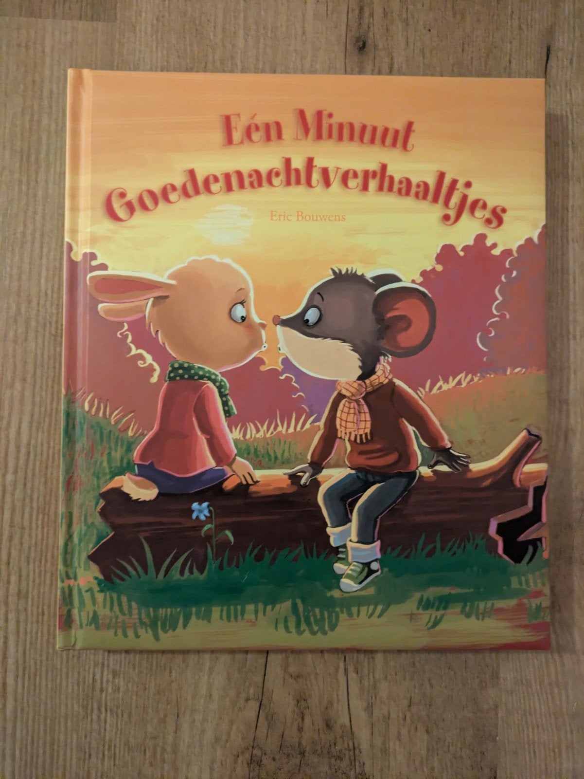 Eén Minuut Goedenachtverhaaltjes - Eric Bouwens, Ophalen, Zo goed als nieuw, Eric Bouwens