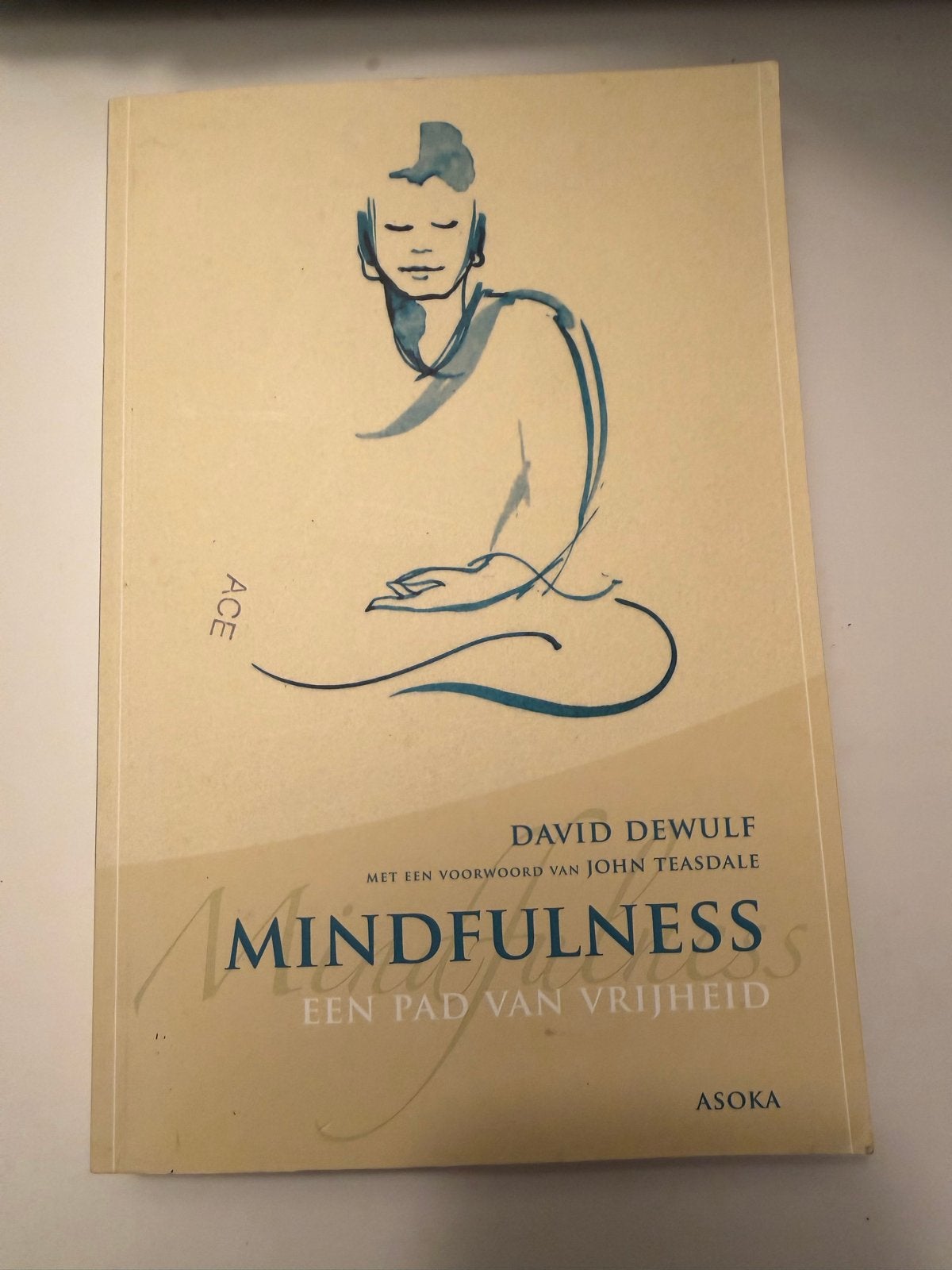 Mindfulness: Een Pad van Vrijheid - David Dewulf, Boeken, Meditatie of Yoga, Ophalen of Verzenden, Zo goed als nieuw, Instructieboek