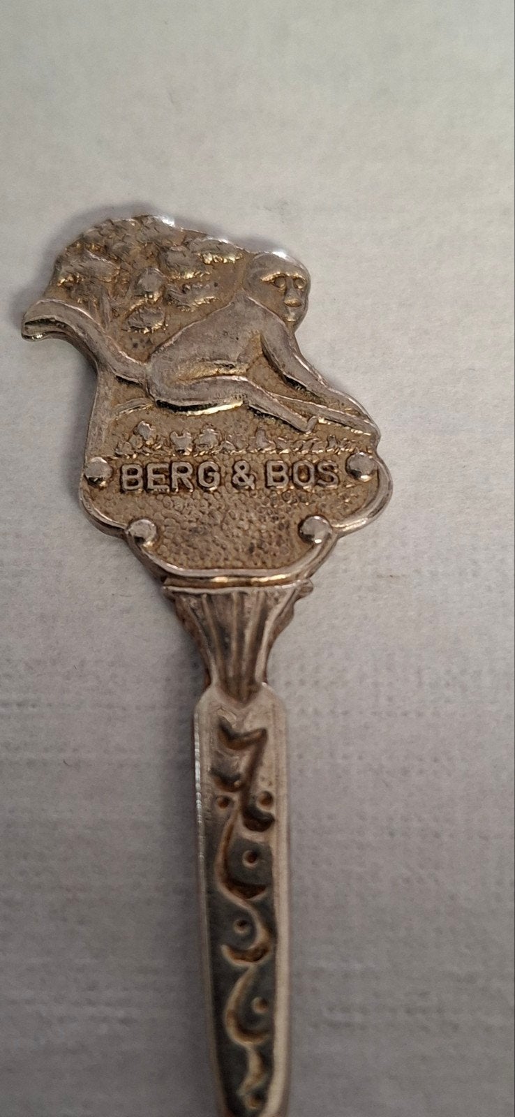 Verzilverde theelepel met 'Berg & Bos' en 'Rhenen', Ophalen of Verzenden