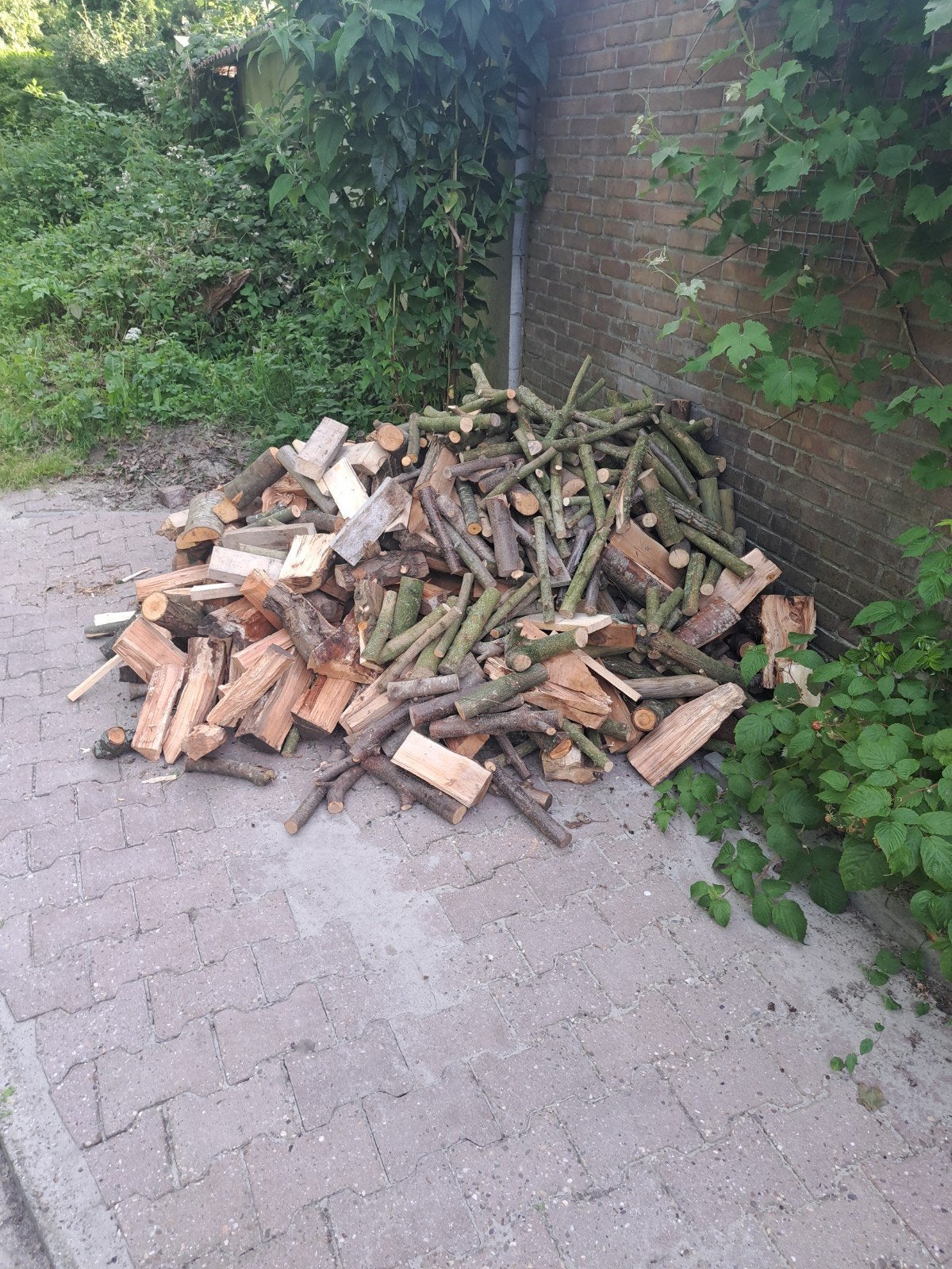 Brandhout mix: blokken, stammen en takken, Tuin en Terras, Haardhout, 3 tot 6 m³, Ophalen of Verzenden, Overige houtsoorten, Blokken