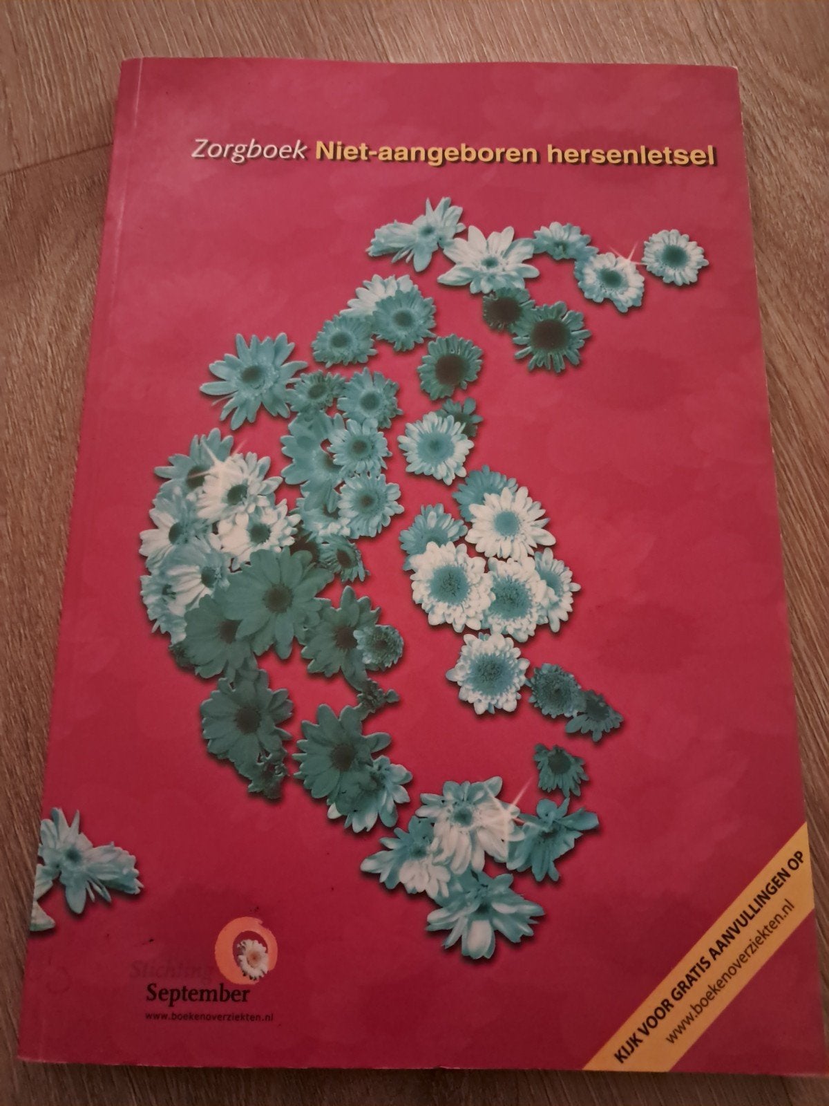 Zorgboek Niet-aangeboren hersenletsel, Onbekend, Sociale wetenschap, Ophalen of Verzenden, Zo goed als nieuw