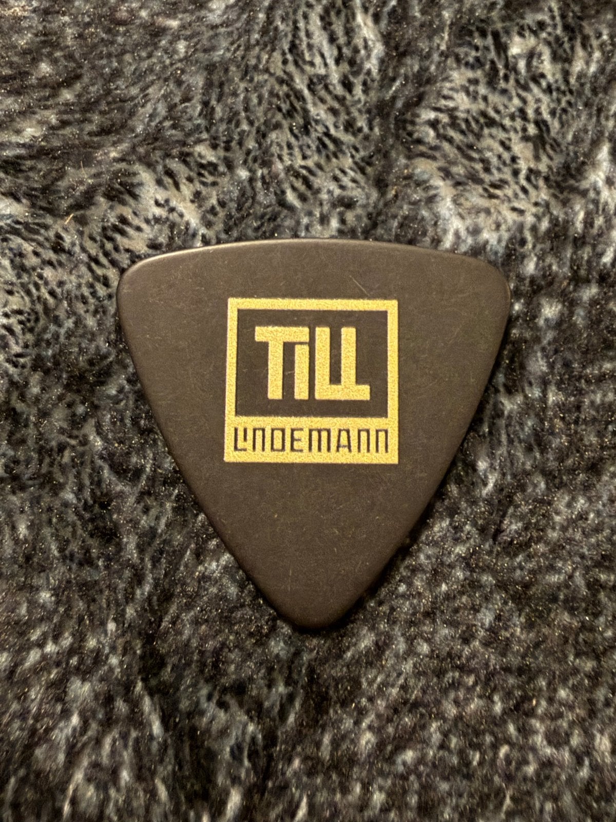 Plectrum Till Lindemann Rammstein rare, Ophalen of Verzenden, Zo goed als nieuw, Overige typen