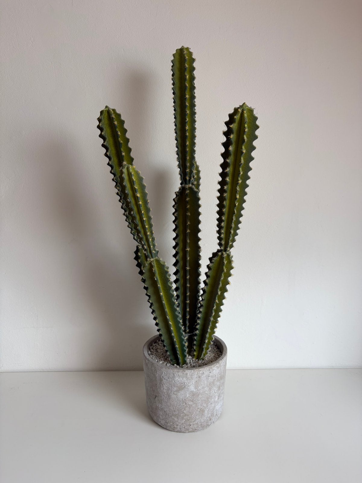 Kunstplant cactus, Ophalen, Steen/keramiek, Gebruikt, Kunstplant
