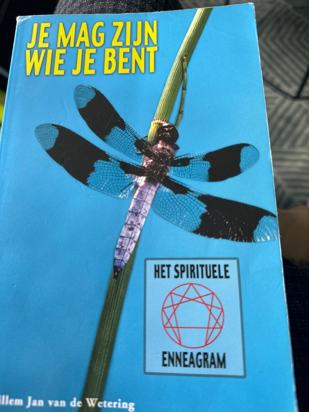 Je Mag Zijn Wie Je Bent - Het Spirituele Enneagram, Boeken, Ophalen of Verzenden, Zo goed als nieuw, Spiritualiteit algemeen, Achtergrond en Informatie