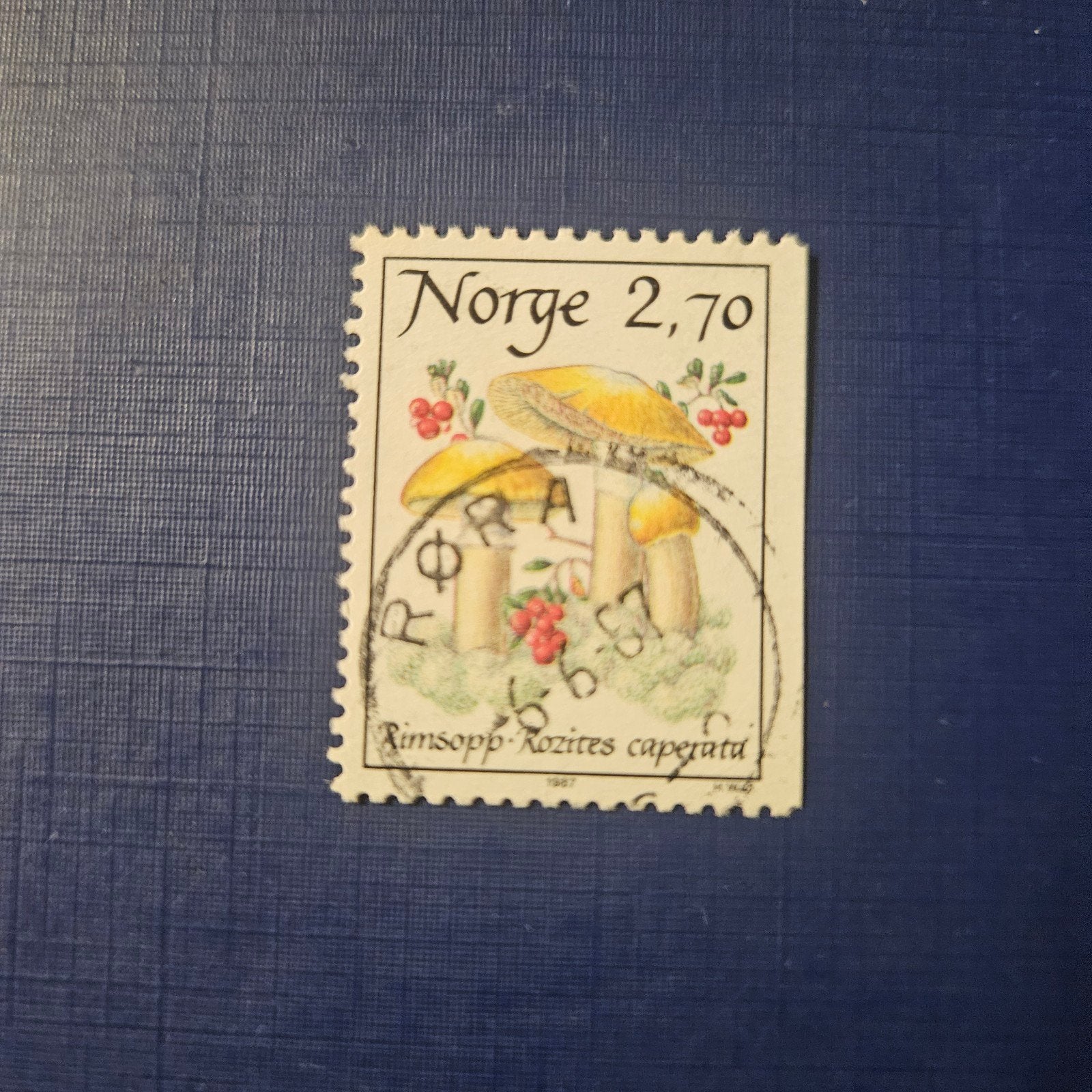 Noorwegen nr 970, Ophalen of Verzenden, Noorwegen, Gestempeld