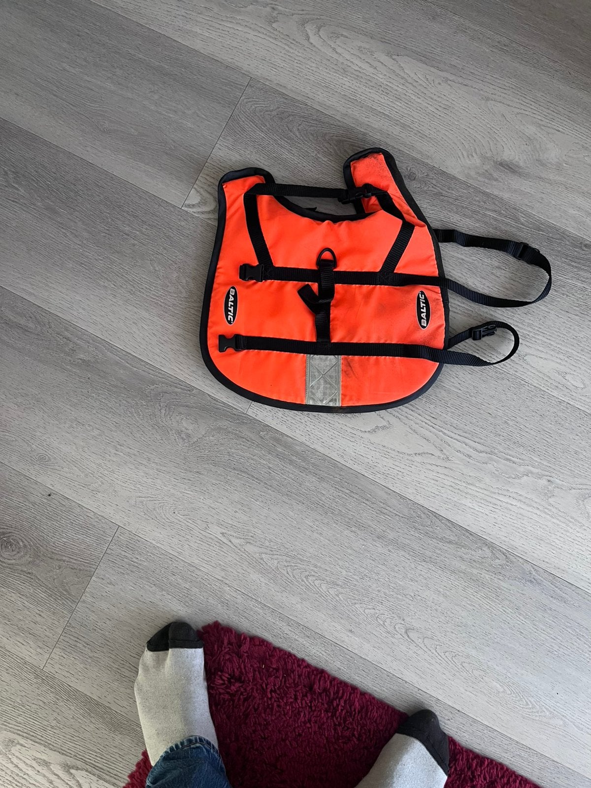 Zwemvest voor hond, Dieren en Toebehoren, Ophalen of Verzenden, Zo goed als nieuw