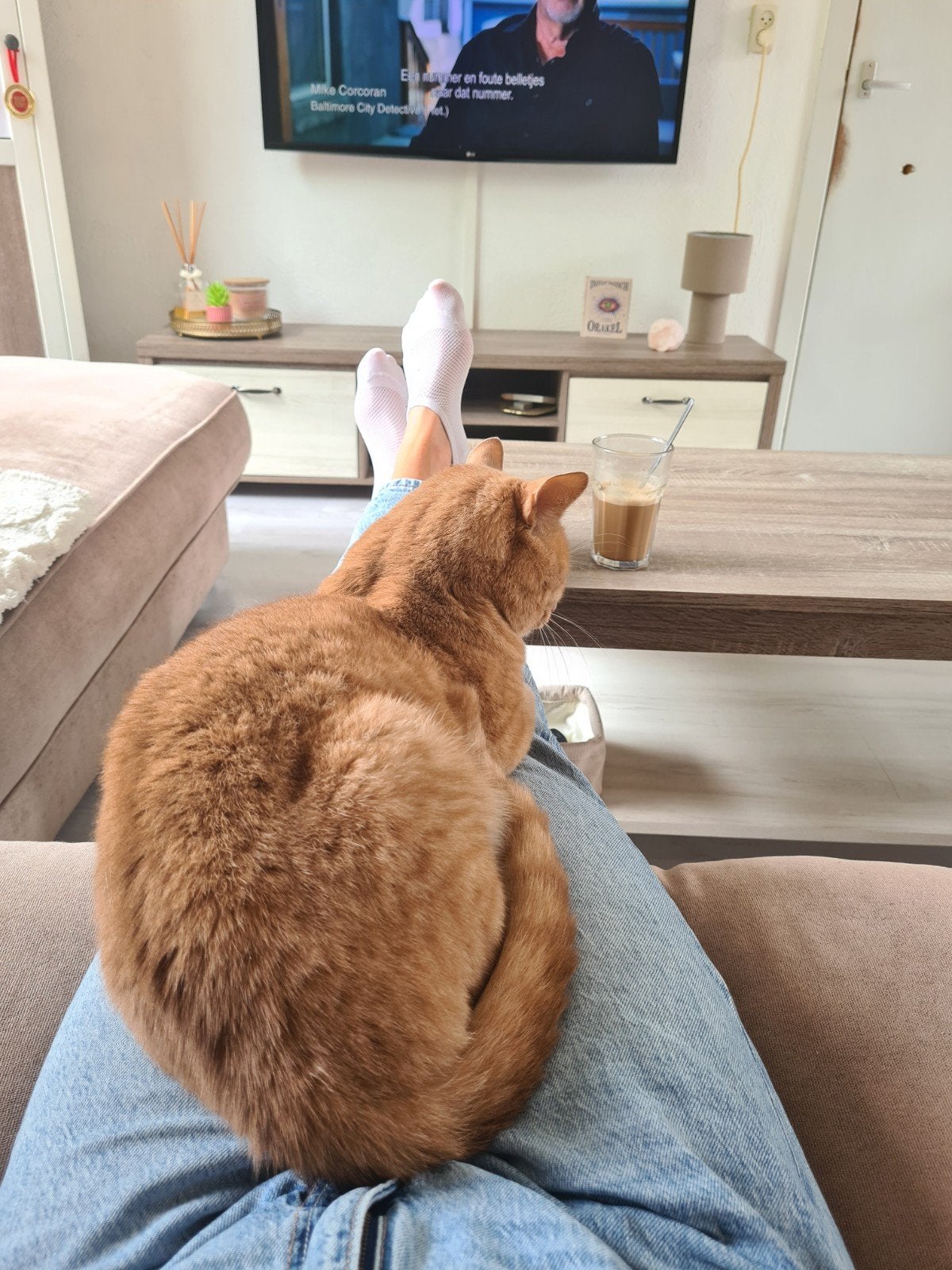lieve rode kater, Dieren en Toebehoren, Katten en Kittens | Overige Katten, Kater, 3 tot 5 jaar