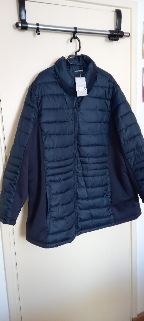 Winterjassen, nieuw, maat 56, Kleding | Dames, Jassen | Winter, Ophalen, Overige kleuren, Maat 46/48 (XL) of groter, Nieuw