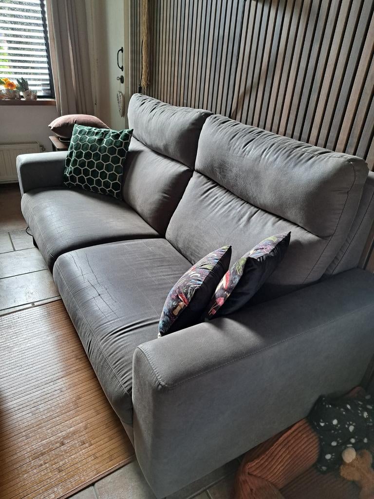 Grijze 2 1/2 zitsbank, Huis en Inrichting, Banken | Bankstellen, Ophalen, Gebruikt, 150 tot 200 cm, Tweepersoons