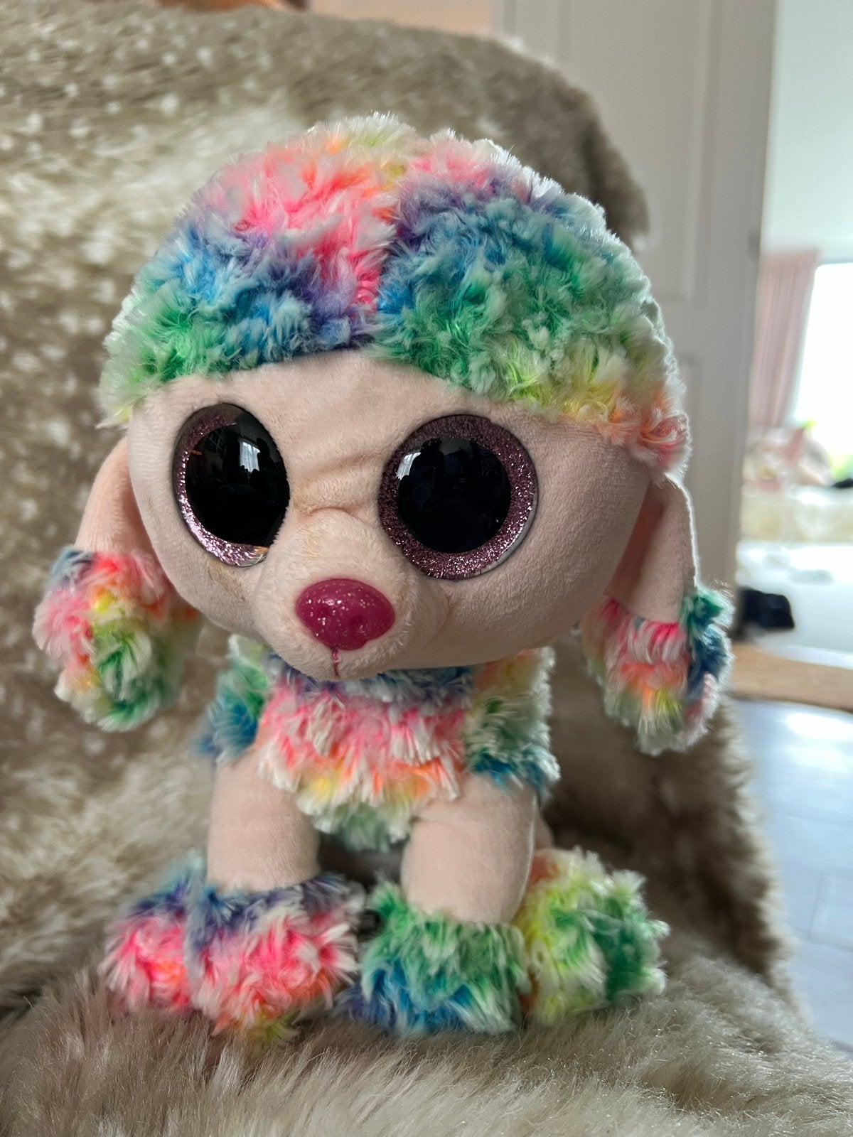 Ty Beanie Boo Pudsey de Poedel - Regenboog Pluche Hond, Zo goed als nieuw, Meerkleurig, Klein (minder dan 20 cm), Ty