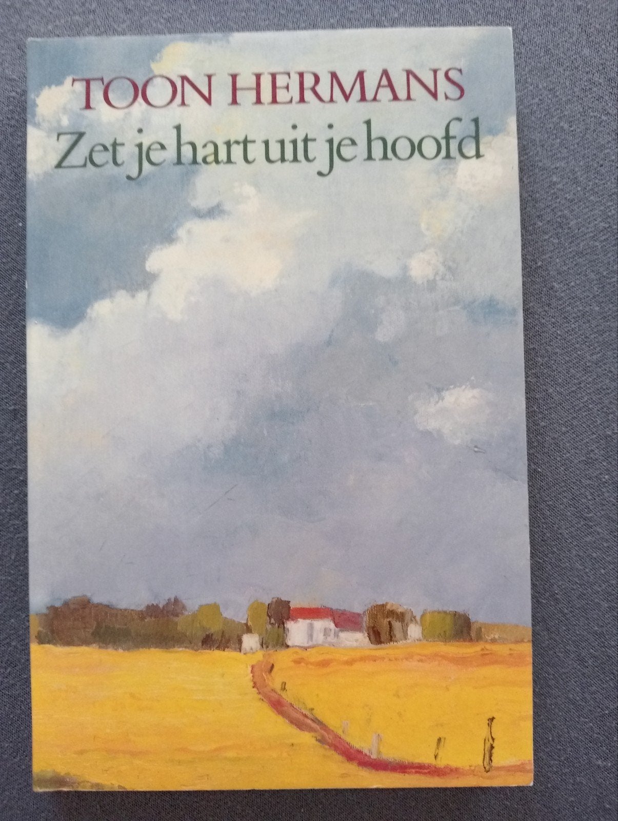 Toon Hermans - Zet je hart uit je hoofd (Boek), Ophalen of Verzenden, Gelezen, Toon Hermans