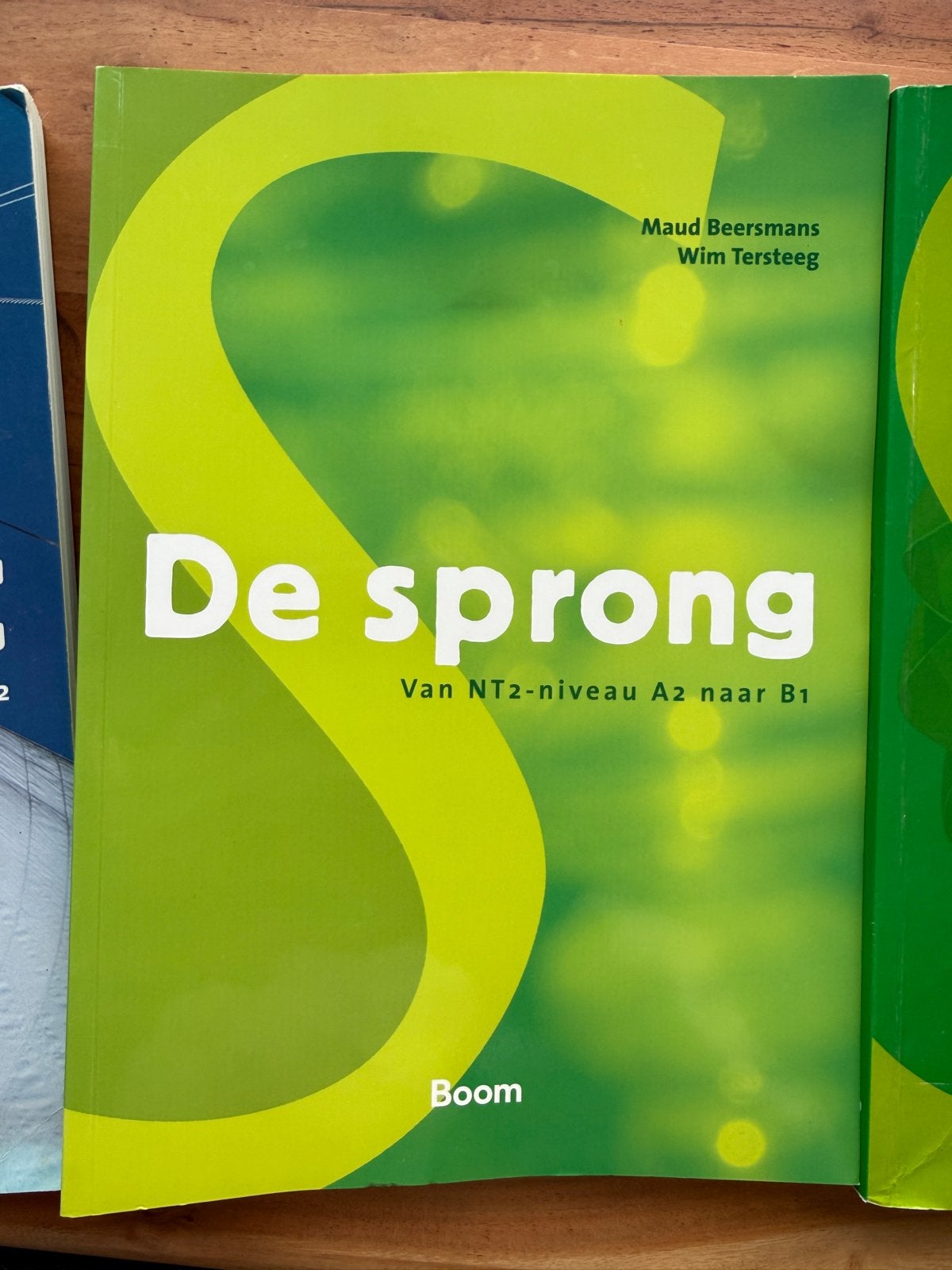 De Sprong: Van NT2-niveau A2 naar B1 - Nederlands boek, Boeken, Ophalen of Verzenden, Zo goed als nieuw, Overige niveaus