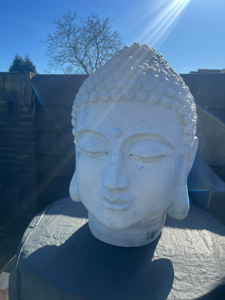 Boedha hoofd, Tuin en Terras, Ophalen of Verzenden, Kunststof