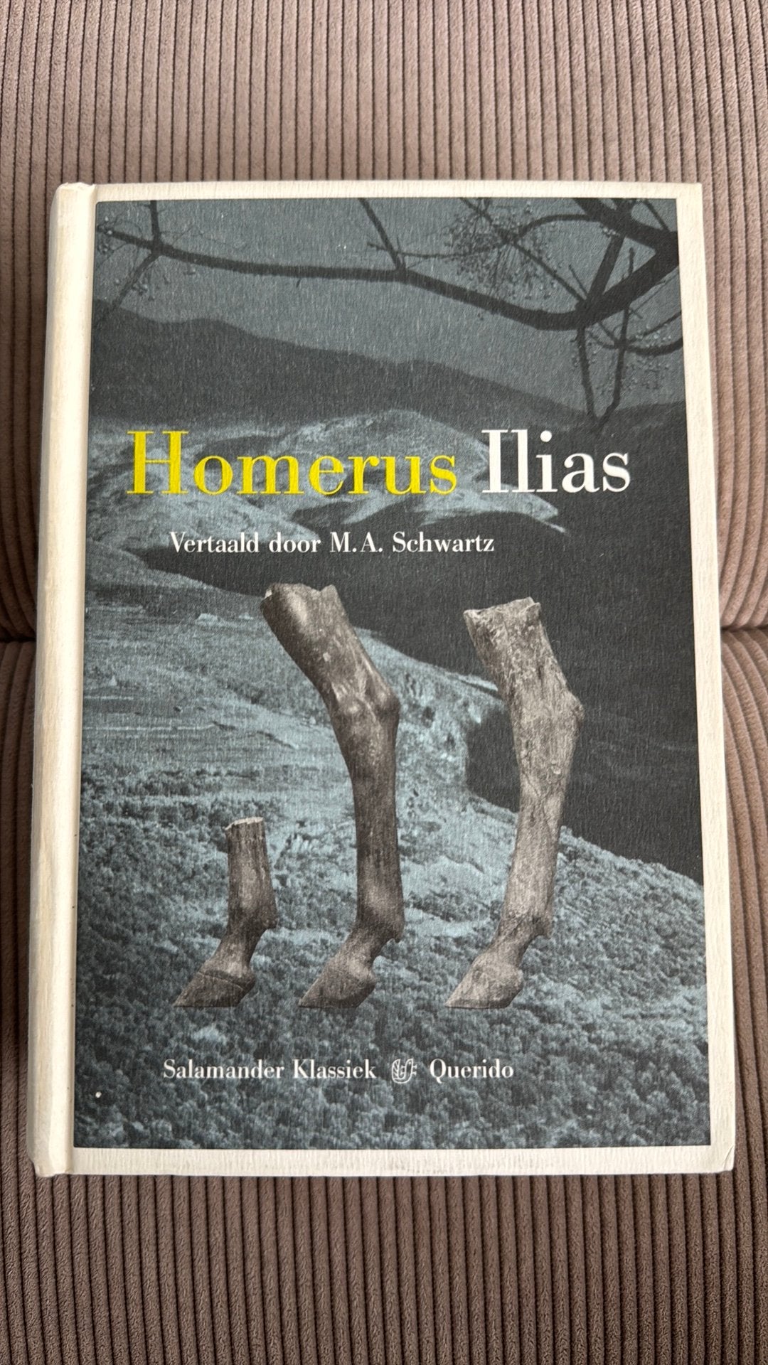 Homerus - Ilias, Ophalen of Verzenden, Zo goed als nieuw, Homerus