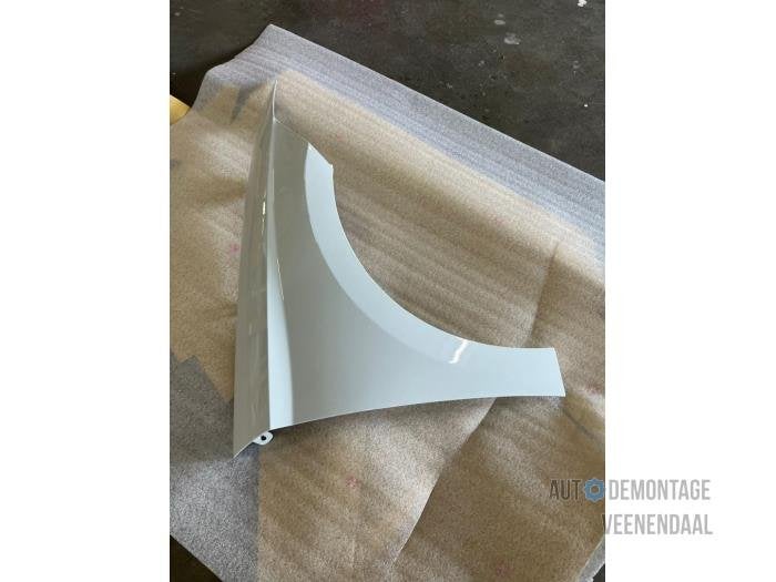 Scherm rechts-voor van een Seat Ibiza (LS9R), -, -, Nieuw, Ophalen of Verzenden