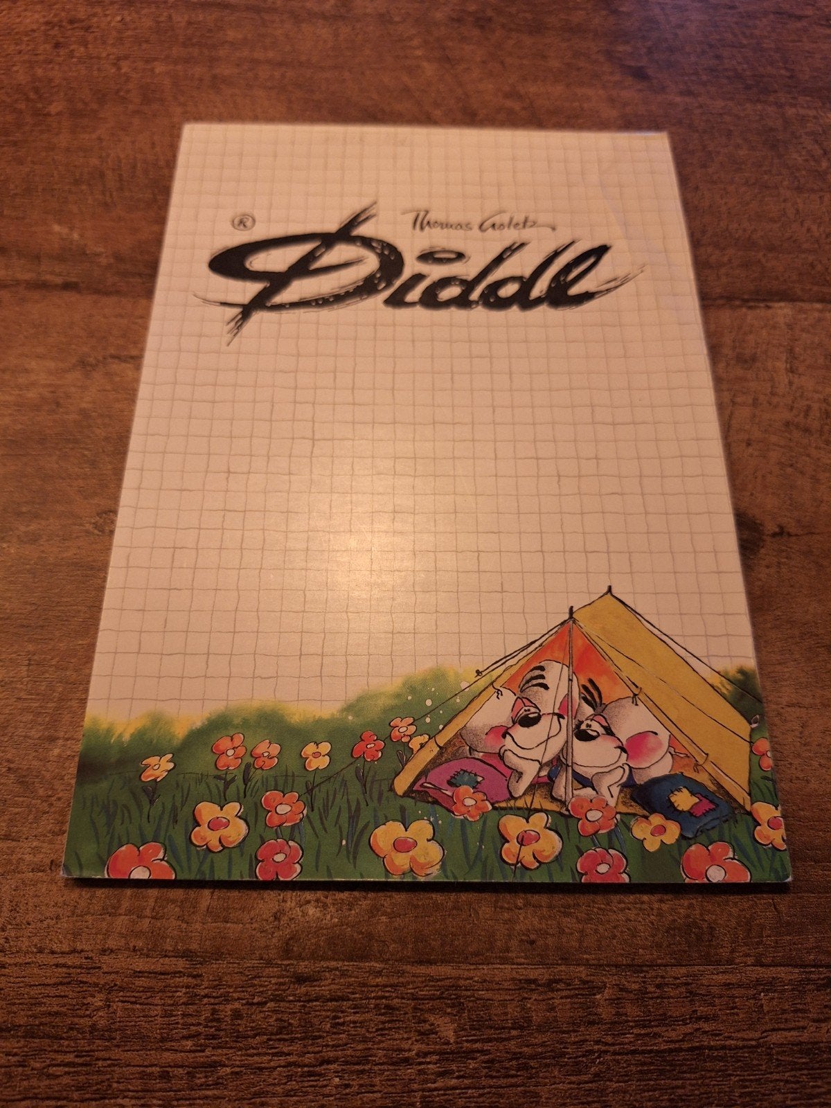 Diddl A5 blok nr 148 met 19 blaadjes, Ophalen of Verzenden, Diddl, Gebruikt, Papier, Kaart of Schrift