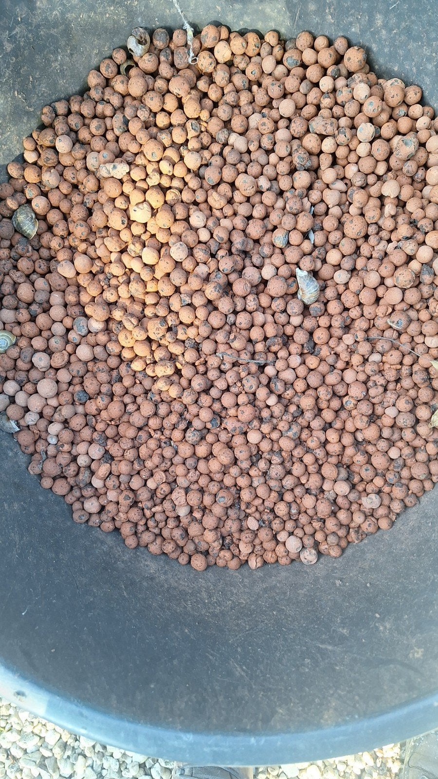 Hydrokorrels voor planten en drainage, Tuin en Terras, Zand, Ophalen of Verzenden, Gebruikt, Overige typen
