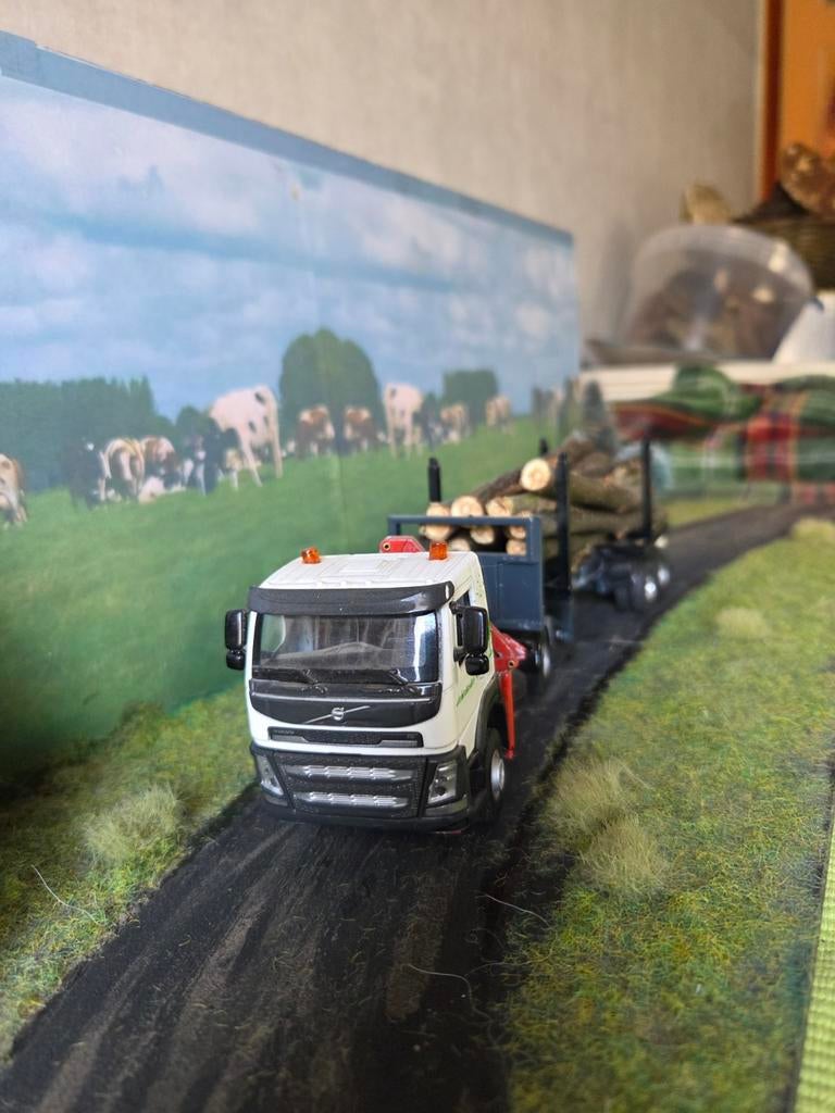 Volvo FM bomentransport, Ophalen of Verzenden, Bus of Vrachtwagen, Tekno