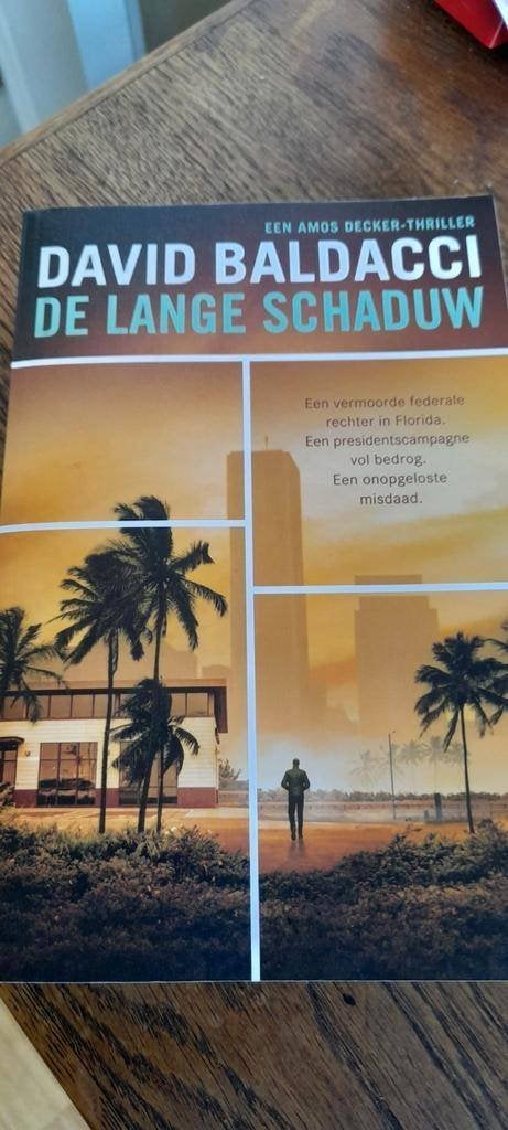 David Baldacci - De lange schaduw, Boeken, Ophalen of Verzenden, Zo goed als nieuw, David Baldacci, Wereld overig