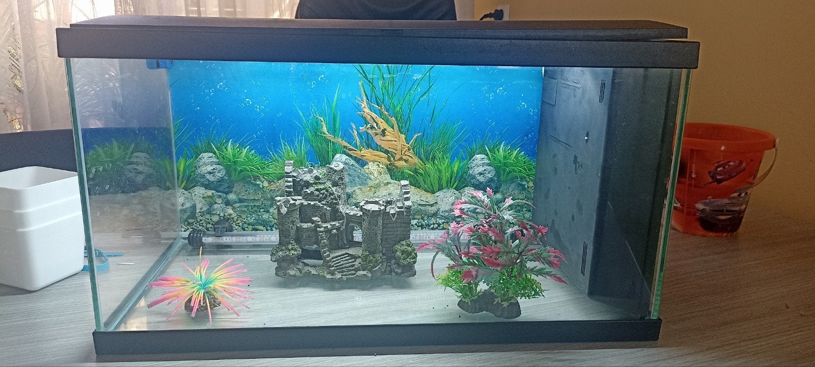 aquarium, Dieren en Toebehoren, Vissen | Aquaria en Toebehoren, JBL, Zo goed als nieuw, Leeg aquarium, Ophalen