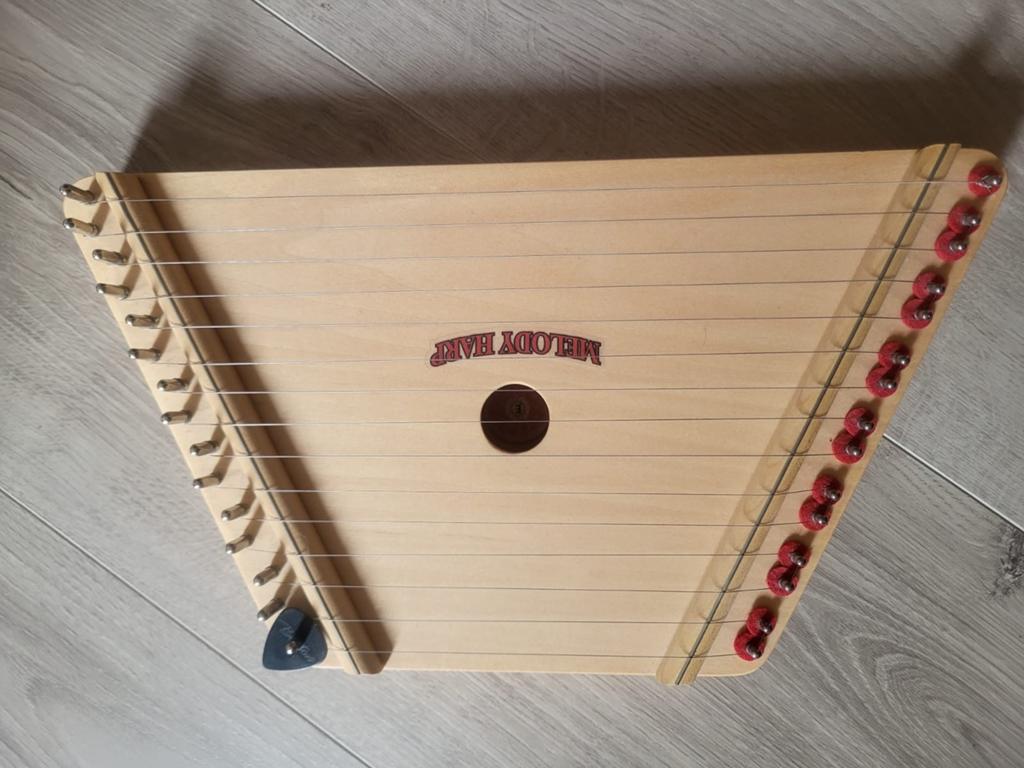 Melody Harp - Ideaal voor jonge muziekliefhebbers, Ophalen of Verzenden, Zo goed als nieuw, Harp