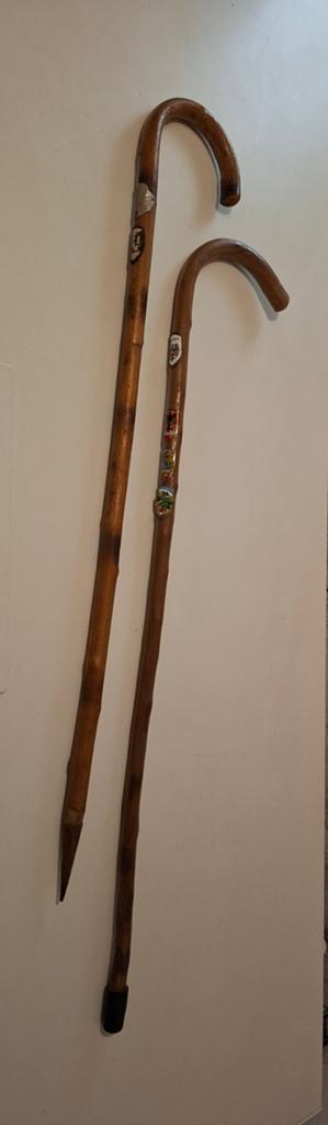 Antieke wandelstokken met wandelstokplaatjes, Ophalen of Verzenden