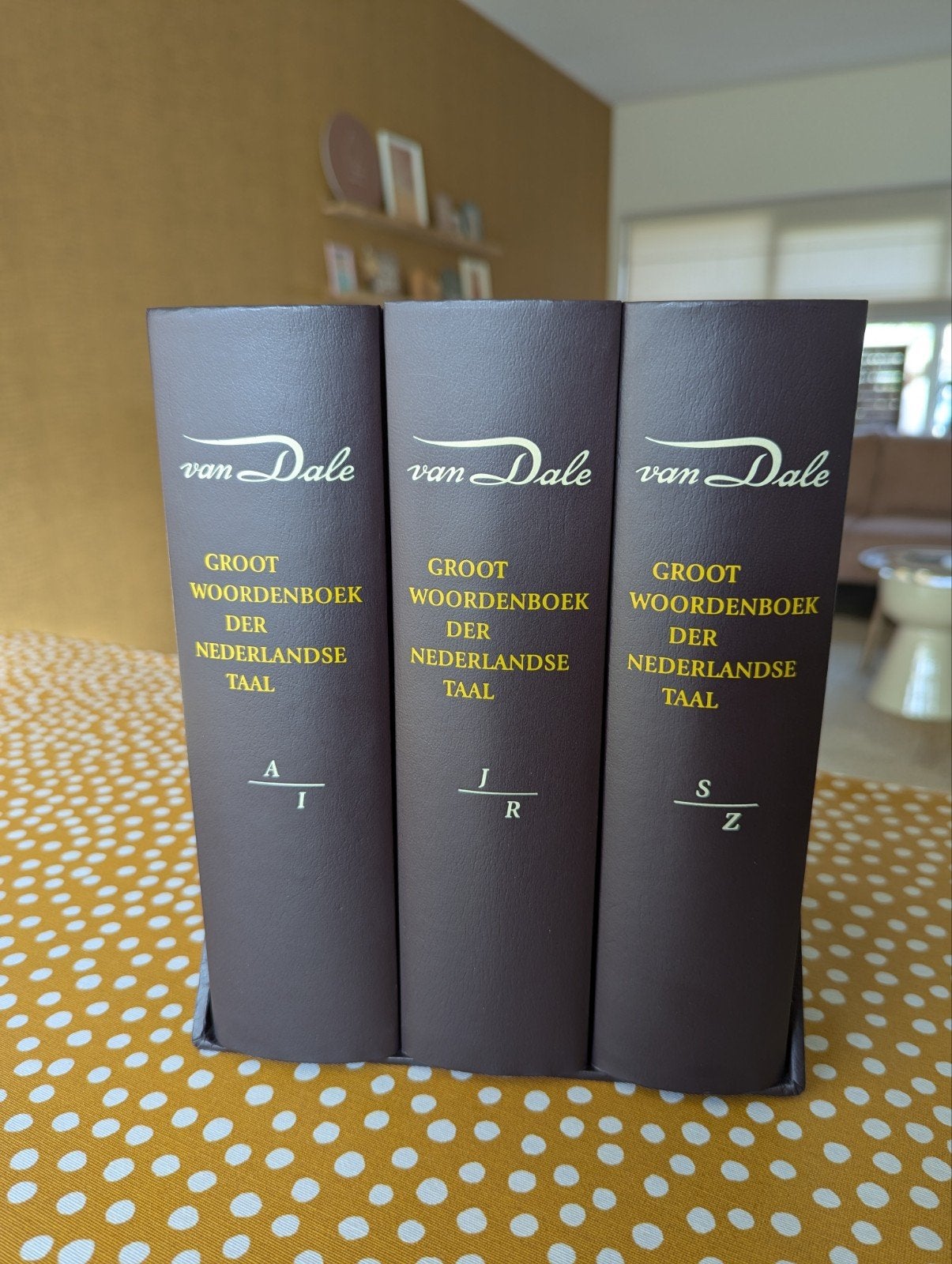Van Dale Groot Woordenboek der Nederlandse taal (bewaarbox), Ophalen, Zo goed als nieuw, Van Dale, Nederlands