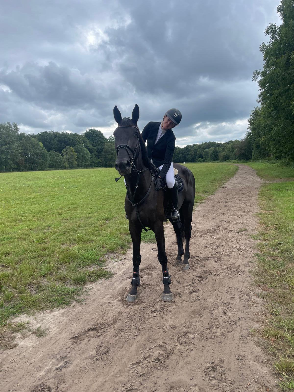 5 jarige projectpaard merrie te koop, Dieren en Toebehoren, Paarden, Merrie, 175 cm of meer, Met stamboom, 3 tot 6 jaar
