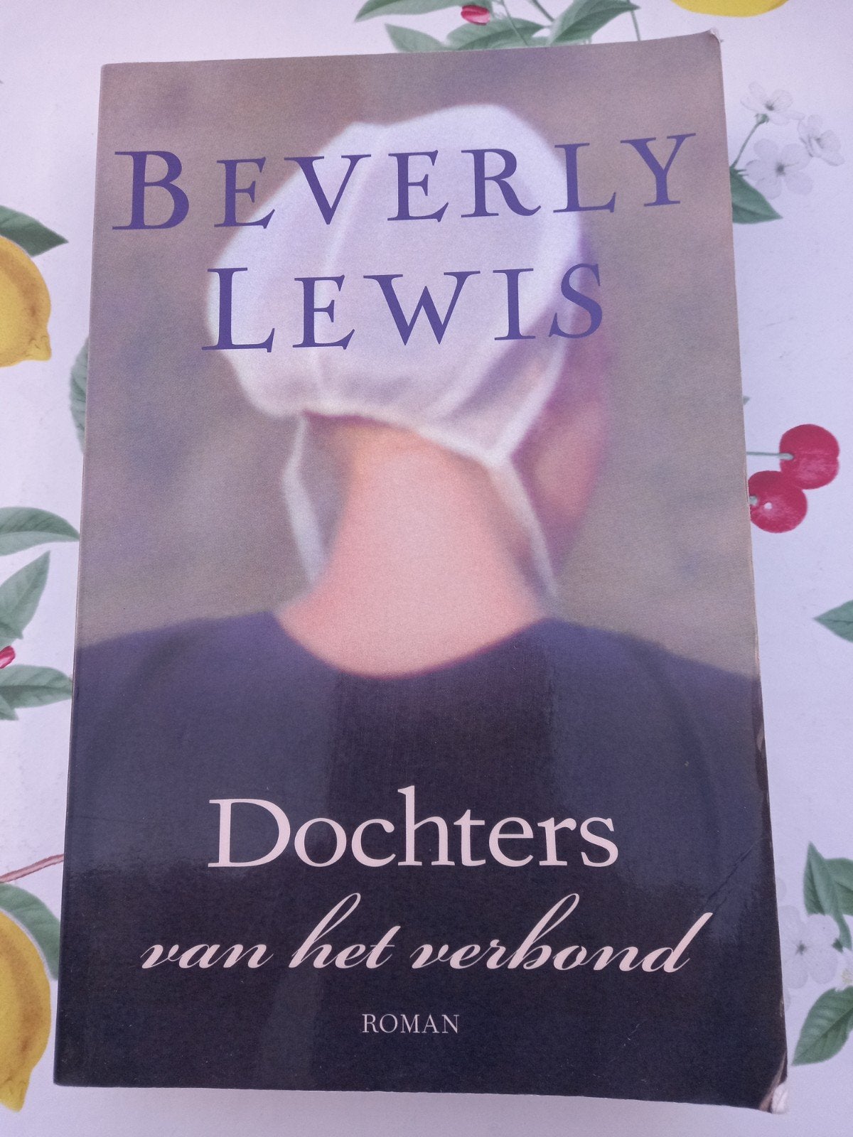 M12 Beverly Lewis - Dochters van het verbond, Gelezen, Beverly Lewis, Ophalen of Verzenden, Nederland