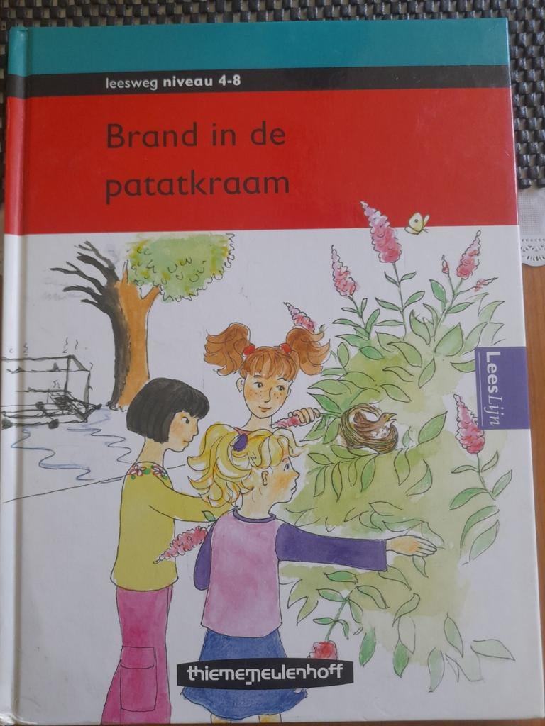 Brand in de patatkraam - Leeslijn leesweg niveau 4-8, Gelezen, Kees de Baar, Ophalen of Verzenden, Nederlands